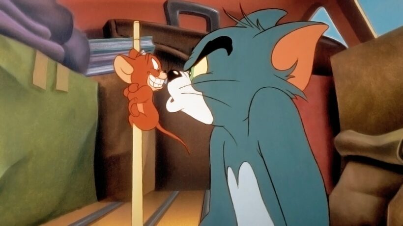 Ảnh Tom và Jerry trừng mắt nhìn nhau