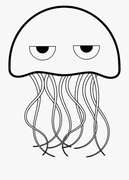 Hình vẽ con sứa
