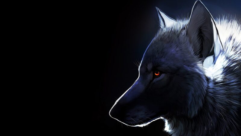 Hình ảnh đẹp về sói
