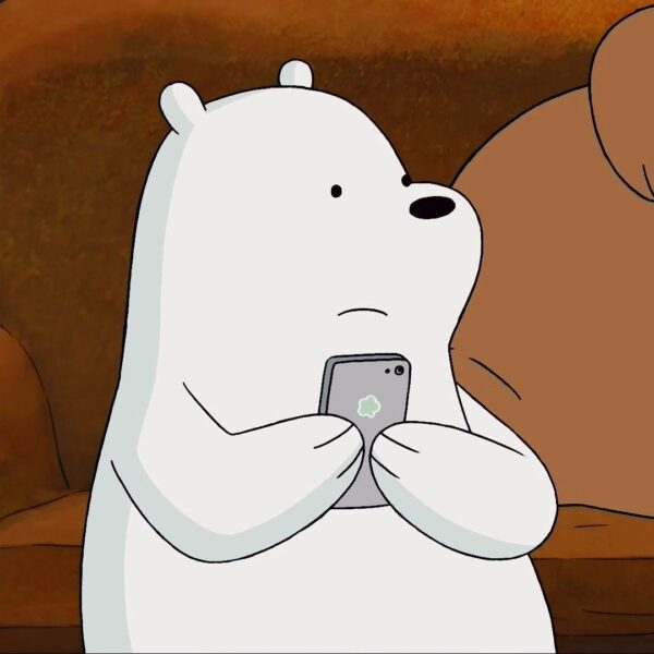 ảnh avatar gấu dùng smartphone thông minh