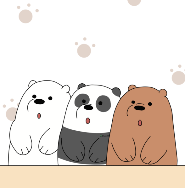 ảnh avatar gấu nhóm ngạc nhiên đáng yêu