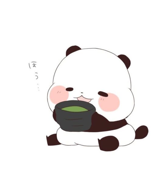 ảnh avatar gấu thưởng thức trà đạo