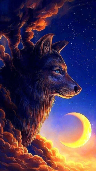 ảnh con sói ngắm mình dưới ánh trăng