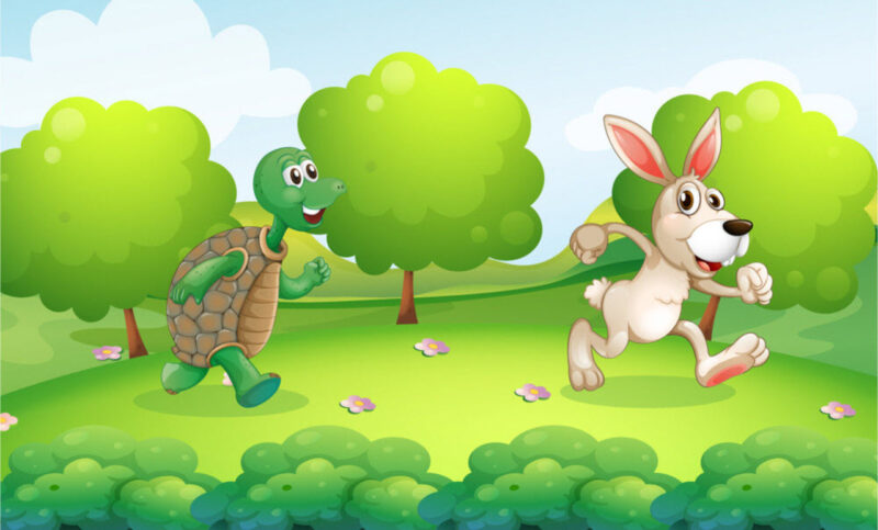 Hình ảnh Thỏ và Rùa hoạt hình