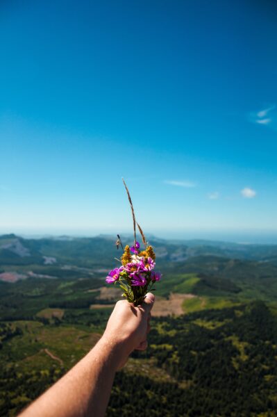 Ảnh bầu trời và hoa được cầm trên đỉnh núi