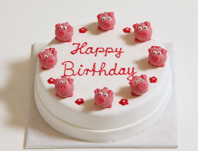 Bánh sinh nhật con lợn cho người tuổi Hợi nền trắng và những chú heo nhỏ