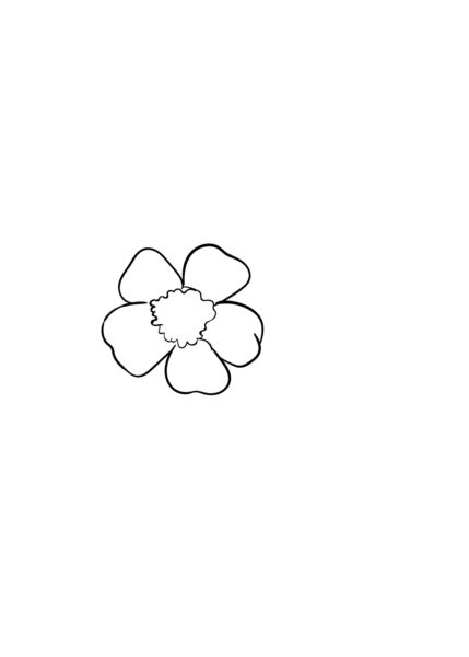 Cách vẽ hoa Anh Đào đơn giản - Bước 5