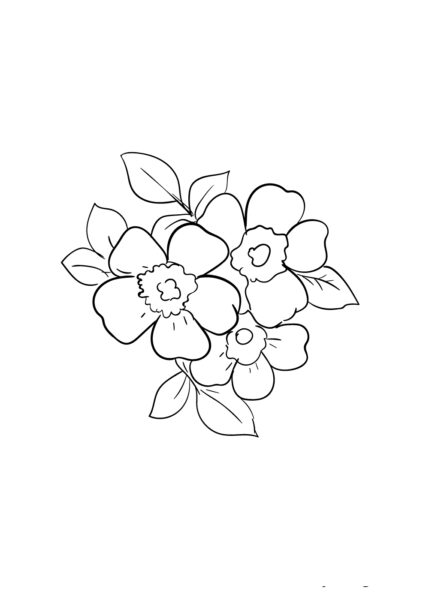 Cách vẽ hoa Anh Đào đơn giản - Bước 6