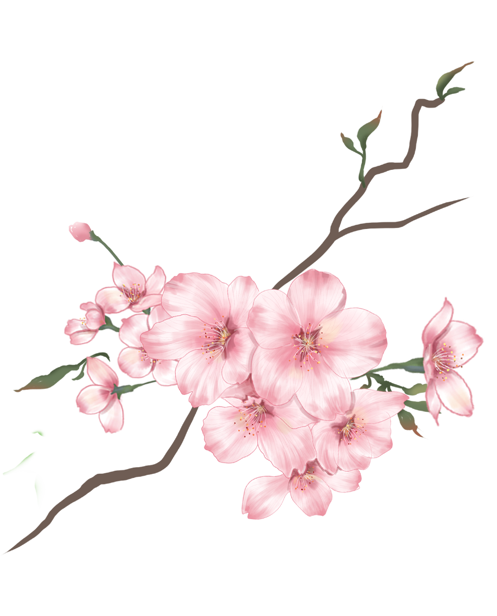 Cách vẽ hoa đào đơn giản tuyệt đẹp  Ve hoa đào Ngày Tết 192  YouTube