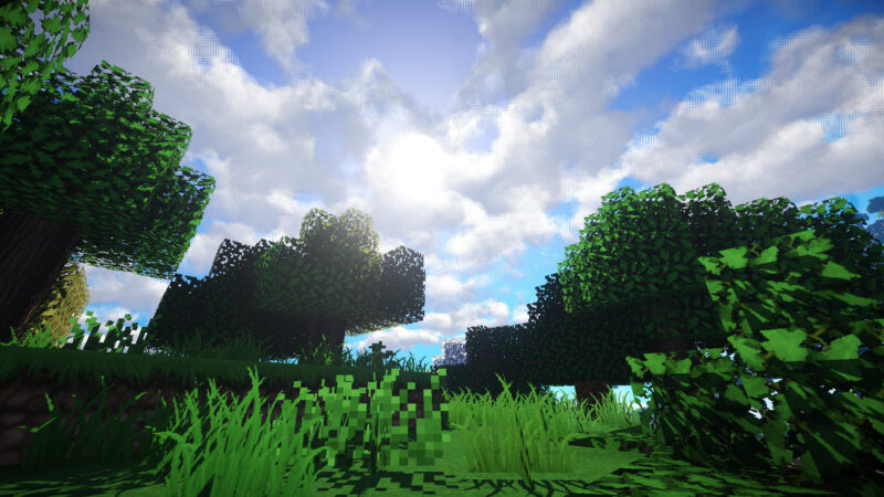 Hình nền minecraft trong rừng và bầu trời xanh