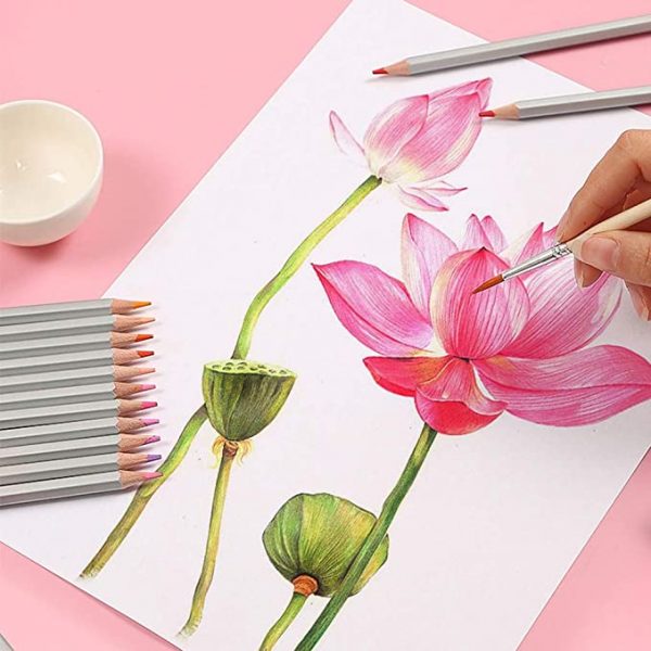 Tranh vẽ hoa đơn giản bằng màu nước