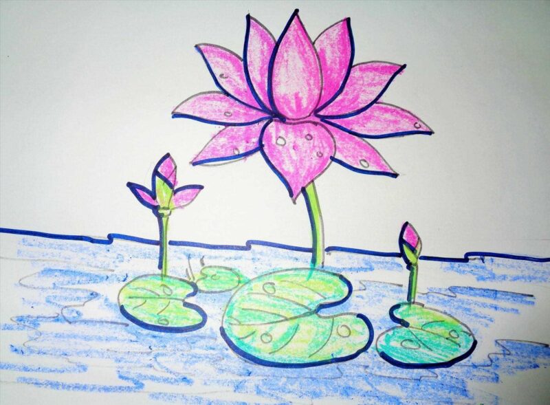 Tranh vẽ hoa đơn giản - hoa Sen