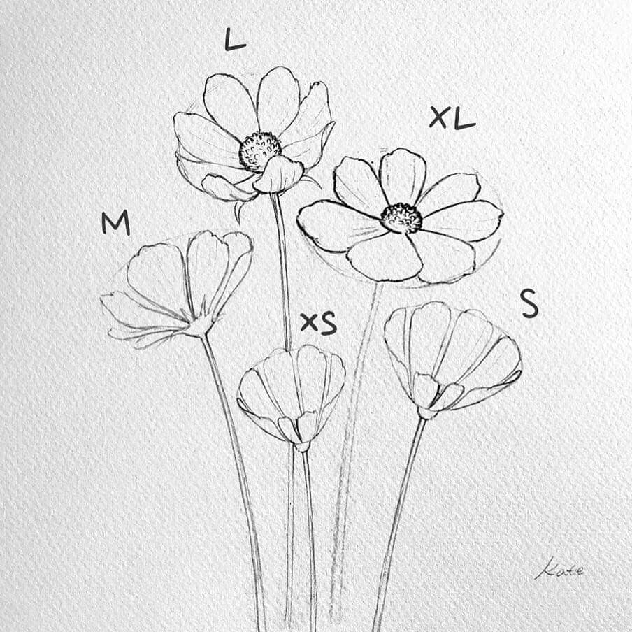Xem hơn 100 ảnh về hình vẽ các loài hoa đơn giản - daotaonec