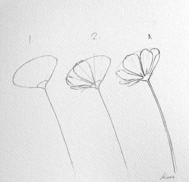 Tranh vẽ hoa đơn giản theo từng nét