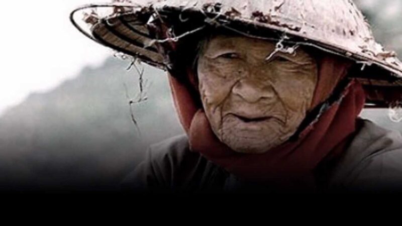Hình ảnh người mẹ già Việt Nam vất vả