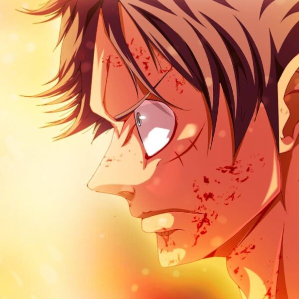 Hình ảnh avatar Luffy bị thương