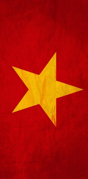 Ảnh avatar Việt Nam lá cờ Việt Nam
