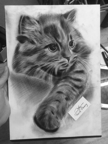 tranh vẽ đen trắng con mèo